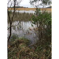 Suffolk King Tide image